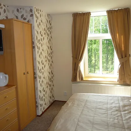 Blue Pension Svoboda nad Upou Room photo