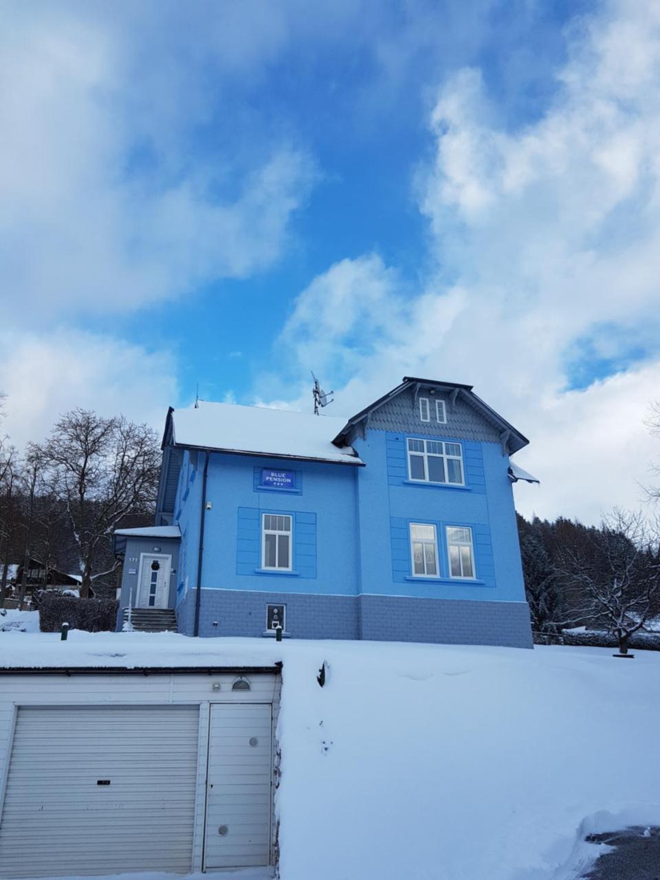 Blue Gasthof 3*